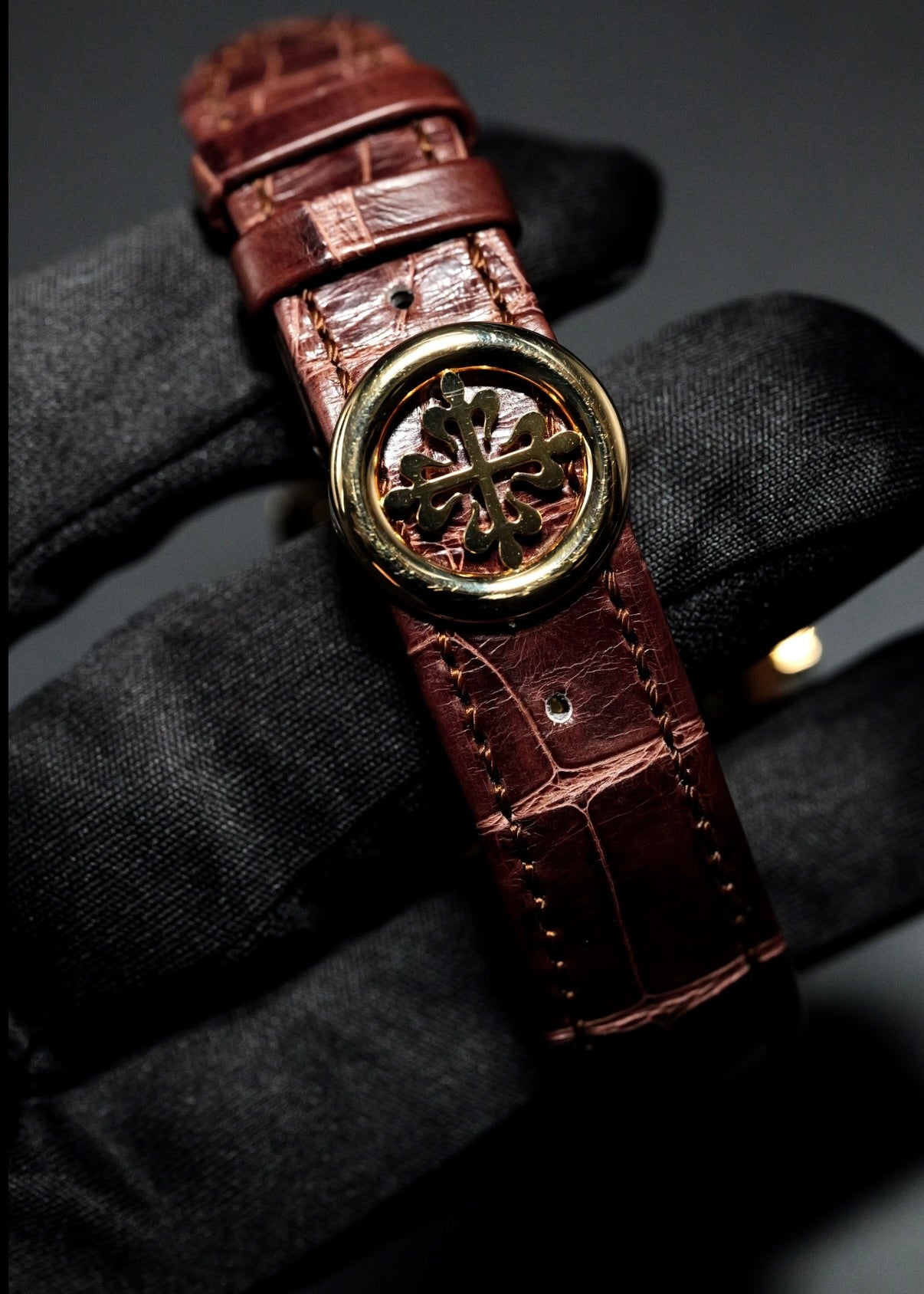 Patek Philippe World Time 5231J Rare Handcrafts Enamel Dial